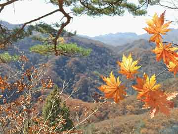 长治景家庄园最新消息